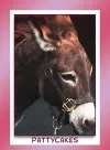 miniature donkey